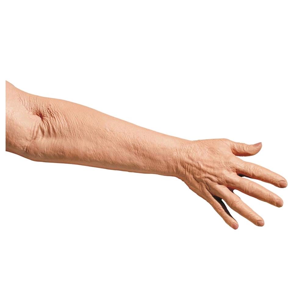 Trainingsarm-Handmodell mit sichtbaren Venen und Handrücken