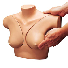 Brustuntersuchungs-Übungsmodell: beiger Torso mit zwei Brüsten, Hände untersuchen