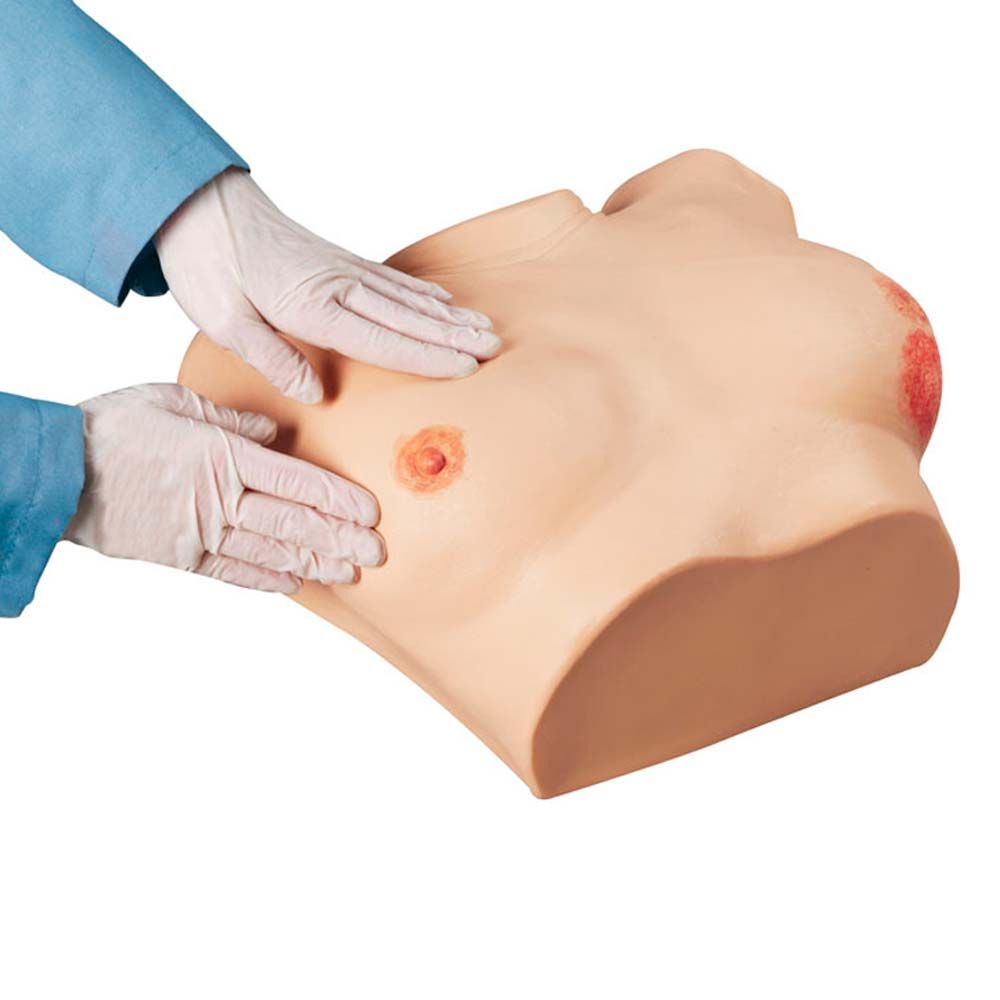 Brustuntersuchungssimulator mit Brustmodell, Untersuchung durch Handschuhe