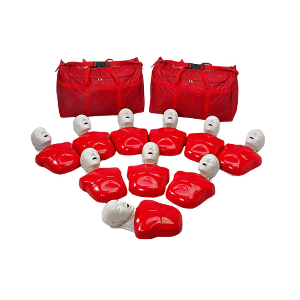 Erler Zimmer CPR-Trainingspuppe Basic Buddy: rotes Übungsset mit vielen Körperteilen und Taschen