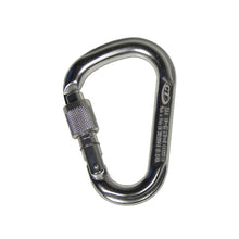 Alu-Karabiner mit Schraubverschluss, silbern, ca. 11×7 cm
