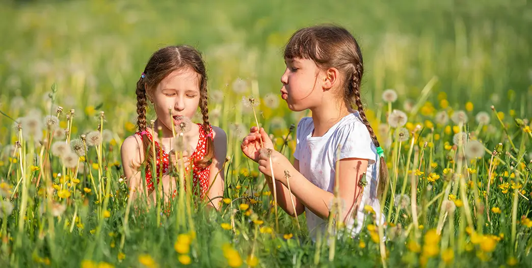 Die Hygienehypothese vermutet, dass Allergien schwächer ausfallen oder ausbleiben, wenn das Immunsystem bereits in jungen Jahren „trainiert“ wird