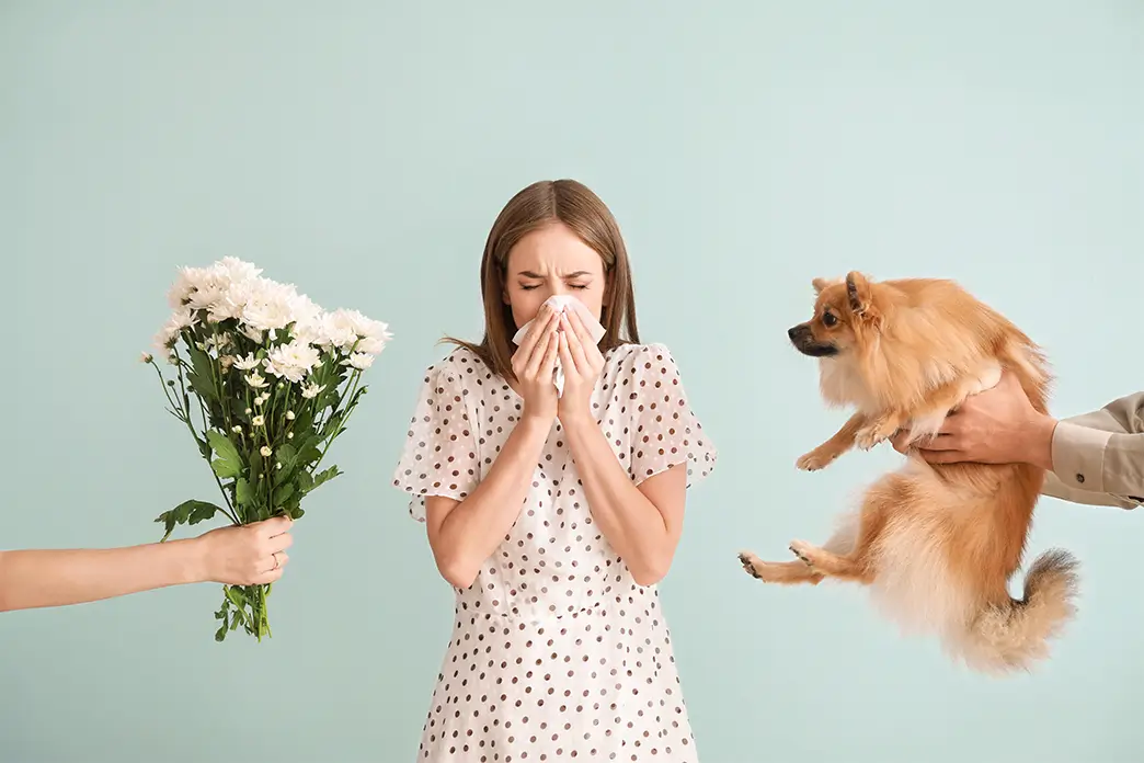 Von Blütenpollen bis Tierhaaren gibt es viele Allergien, die uns im Alltag plagen