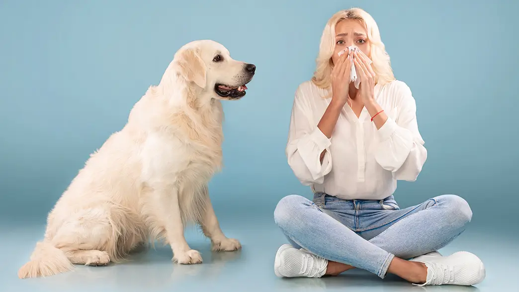 Eine junge Frau mit allergischem Schnupfen schnäuzt sich die Nase, während sie neben einem freundlichen Golden Retriever auf dem Boden sitzt